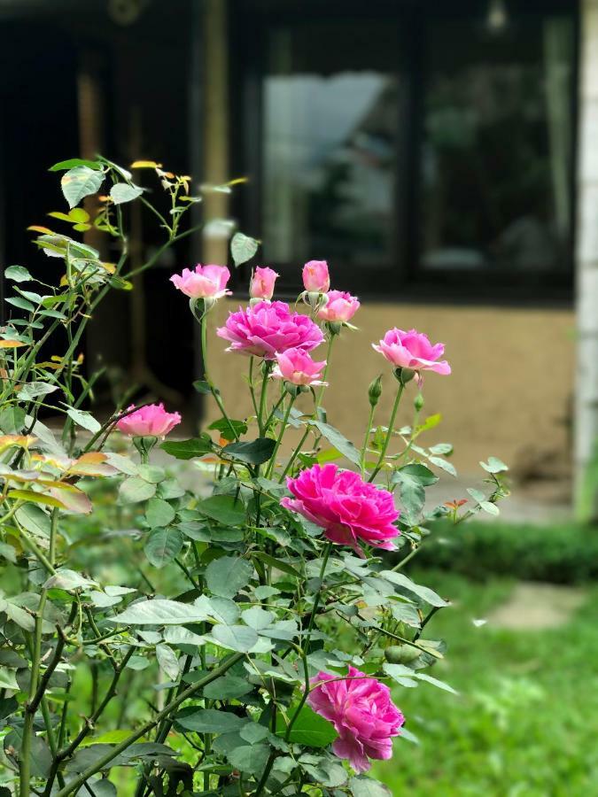 May Homestay - Tam Coc Local Village Ninh Binh Exterior foto