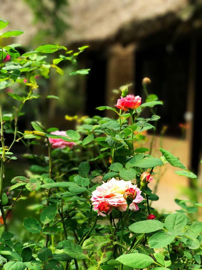 May Homestay - Tam Coc Local Village Ninh Binh Exterior foto