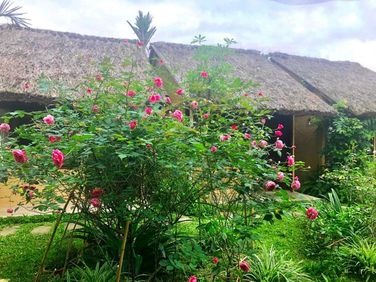 May Homestay - Tam Coc Local Village Ninh Binh Exterior foto